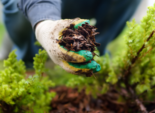 Australian Bio-Plastics
Biodegradable Packaging