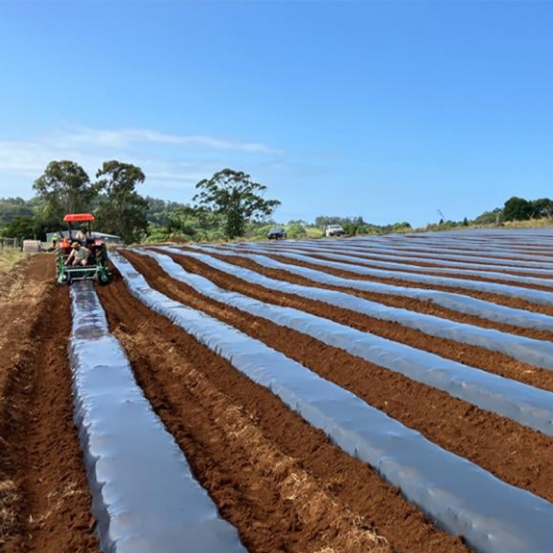 Biodegradable Mulch Film