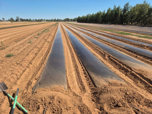 Biodegradable Mulch Film