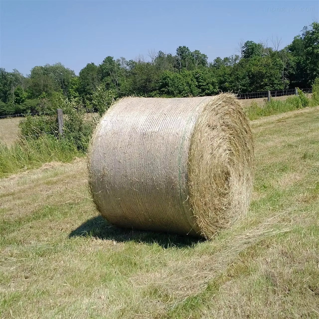 Non-Bio PE- Hay Netting